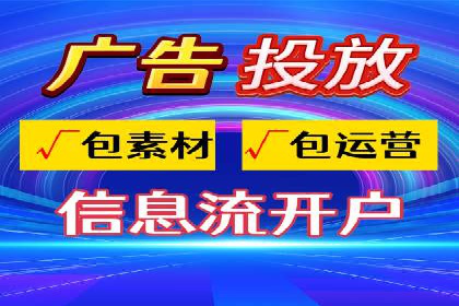 大型SEM服务公司案例分析